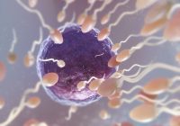 Fertilizarea in vitro (FIV): O perspectivă asupra tehnologiei de reproducere asistată