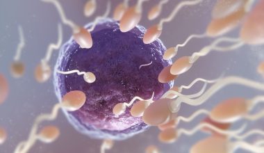 Fertilizarea in vitro (FIV): O perspectivă asupra tehnologiei de reproducere asistată